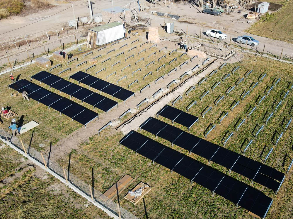 Finca Shadai Híbrido 1